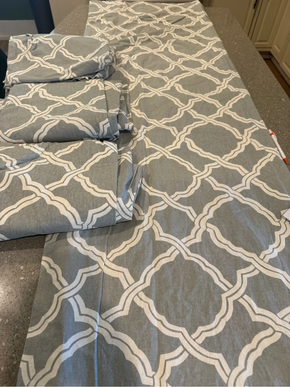 4 lined panels Kendra trellis Pottery Barn drapes